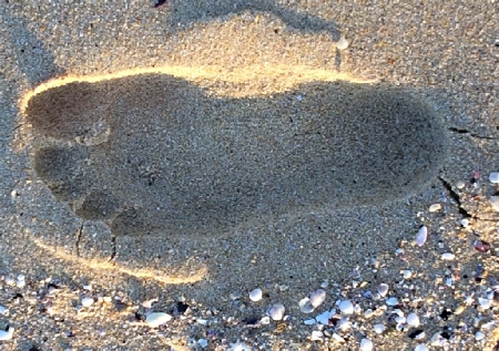 We've embedded these youtube videos of Narrawallee any problems email us